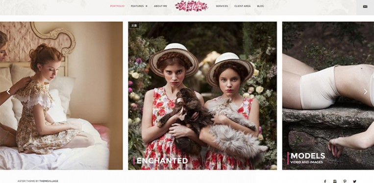 Aster   Photography portfolio theme